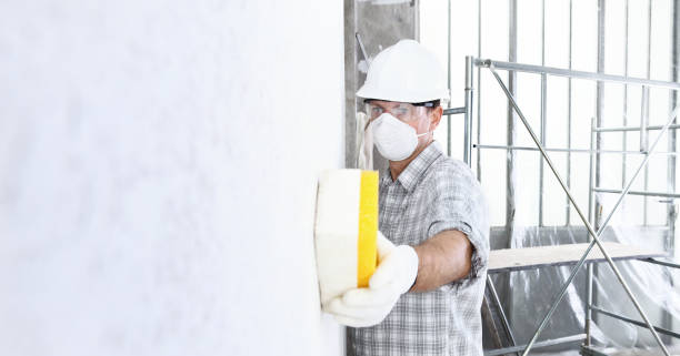 Why You Should Choose Our Mold Remediation Services in Oak Park, IL